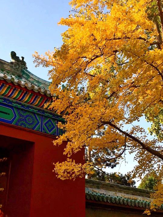 响福小院