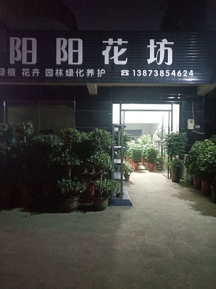 阳阳花坊