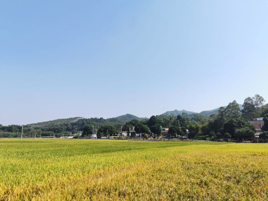 广东省清远市清城区源潭镇踵头乡