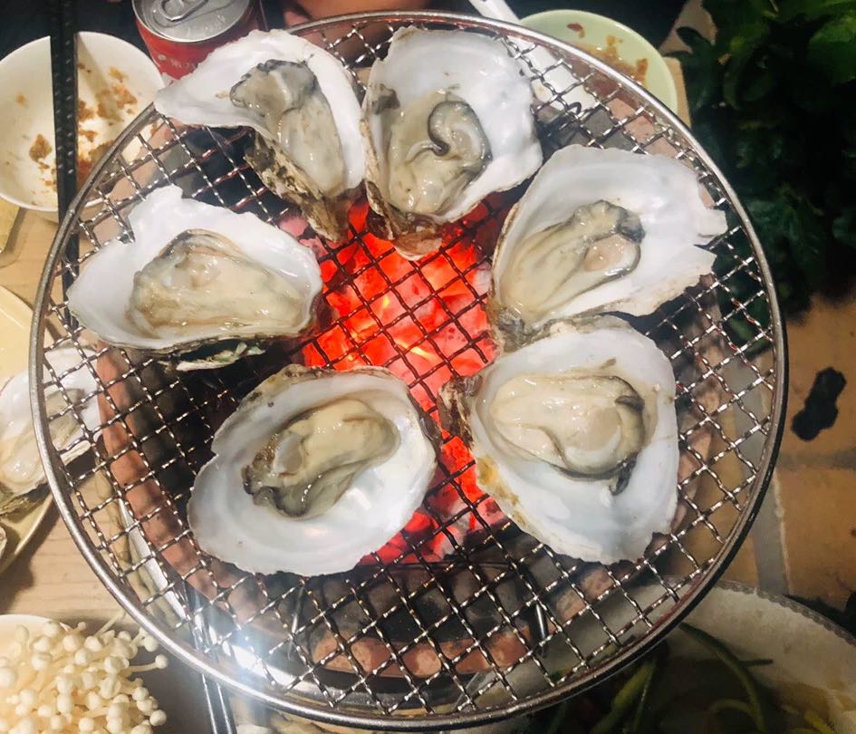 大海鱼塘庄