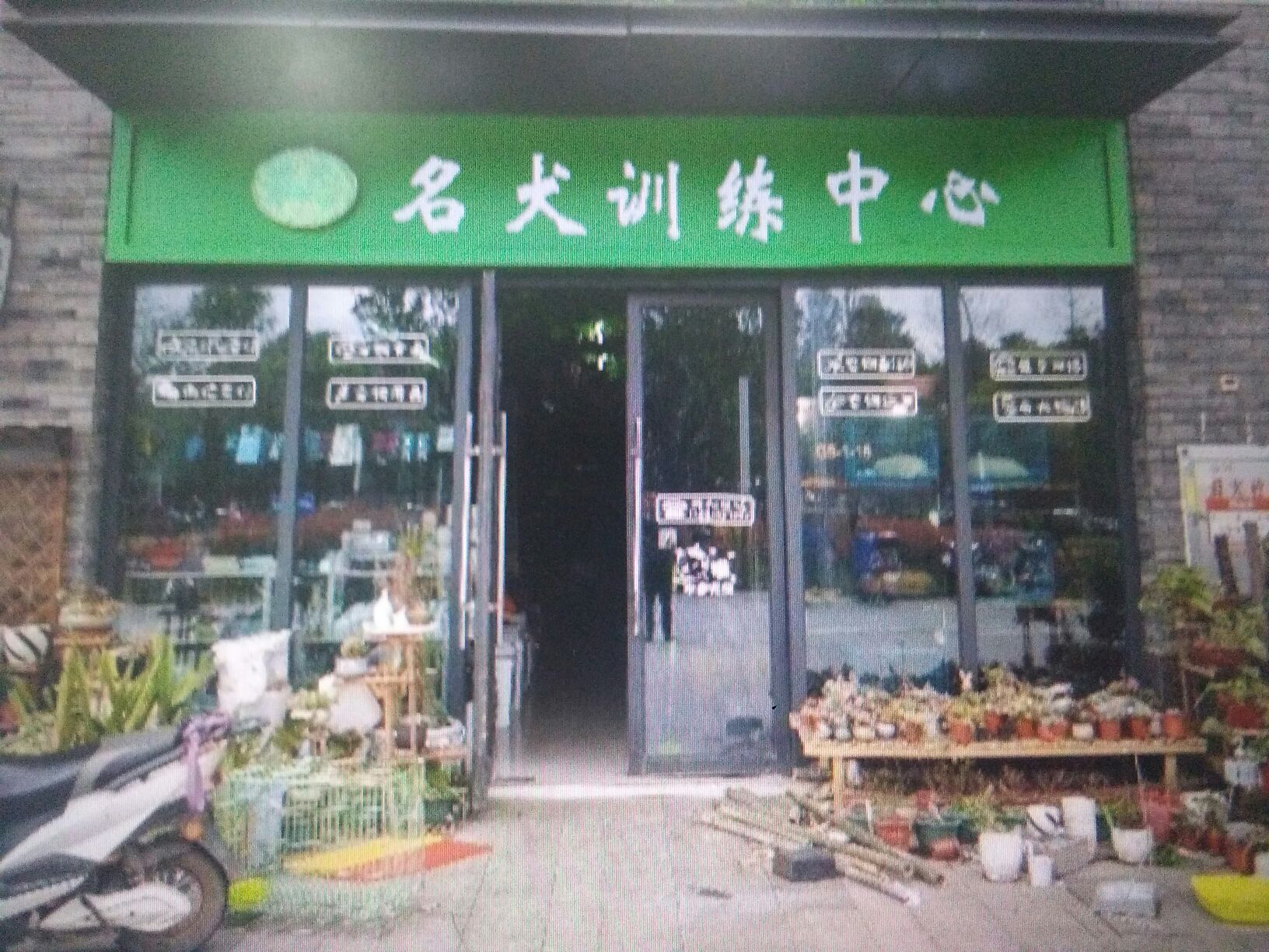 浦北县北通镇名犬训练中心
