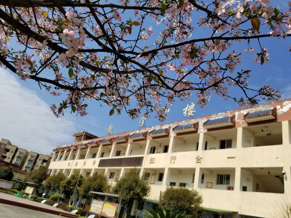 联江小学