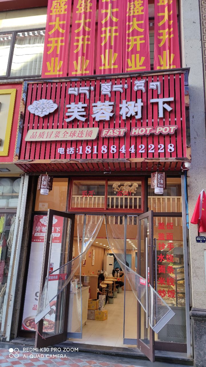 芙蓉树在(启赤街店)