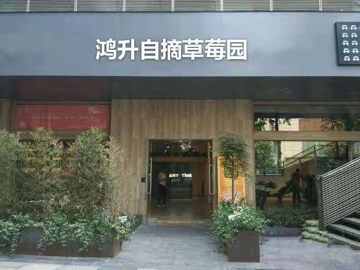 鸿升自摘草莓园(大学路店)