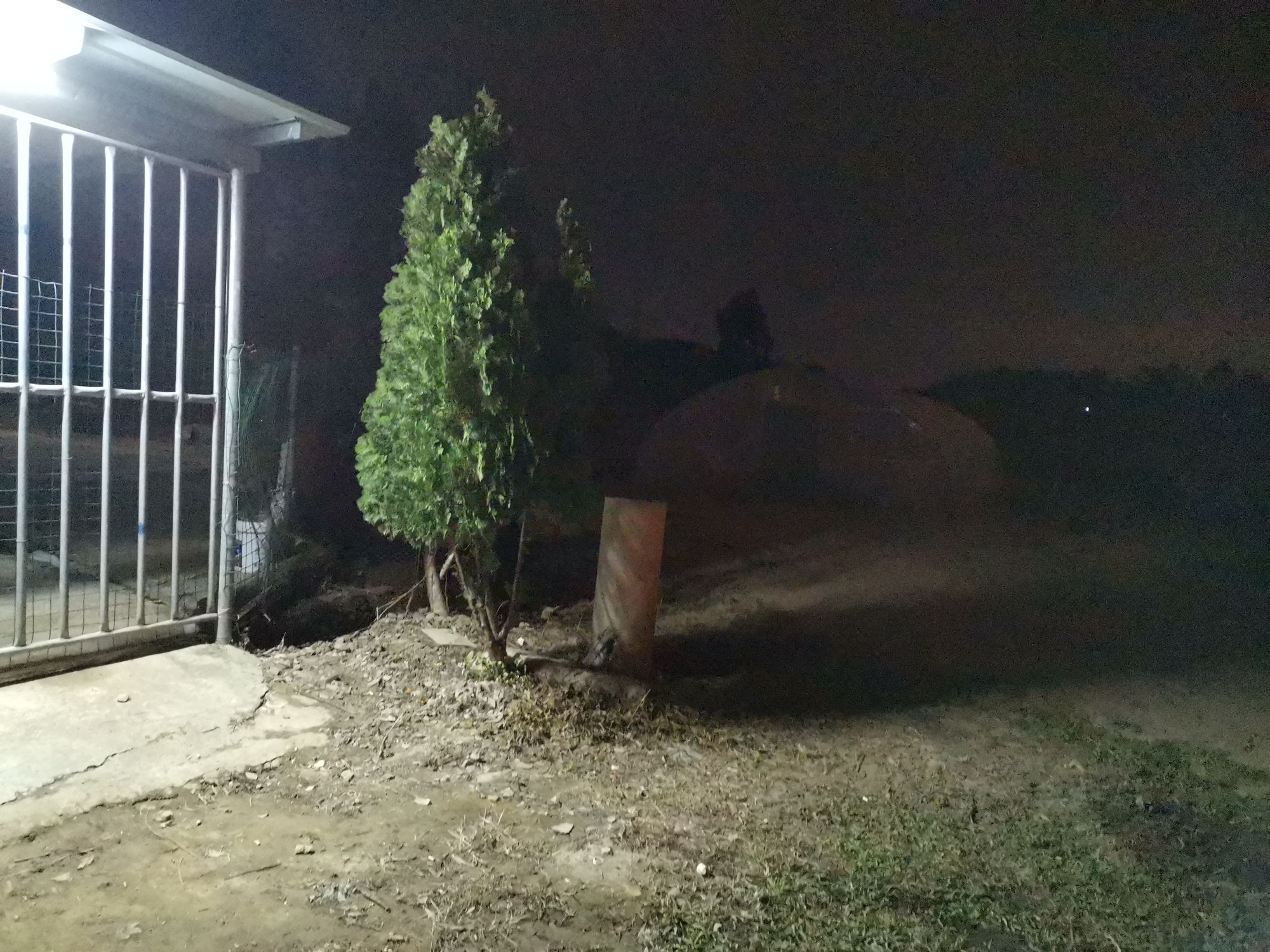 静景多肉