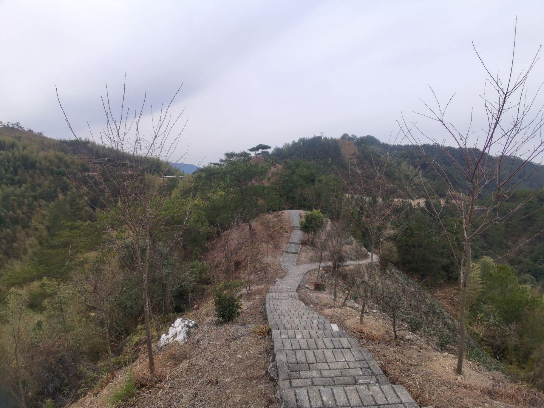 邓权隆山风景区