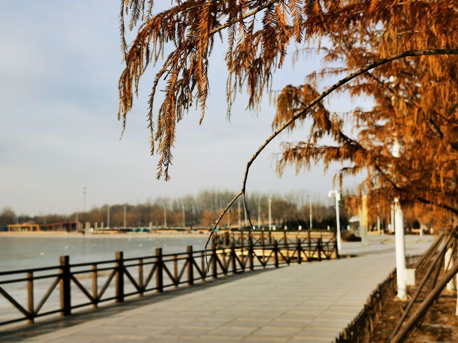 东营·森林乐园