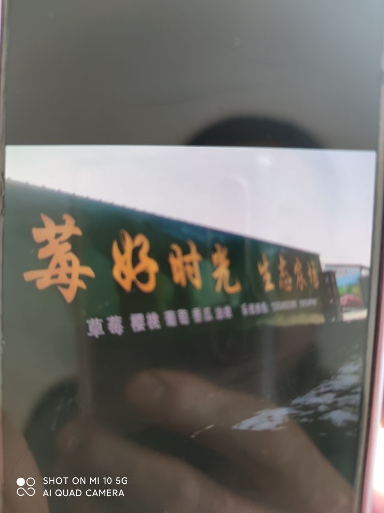 北村草莓采摘园