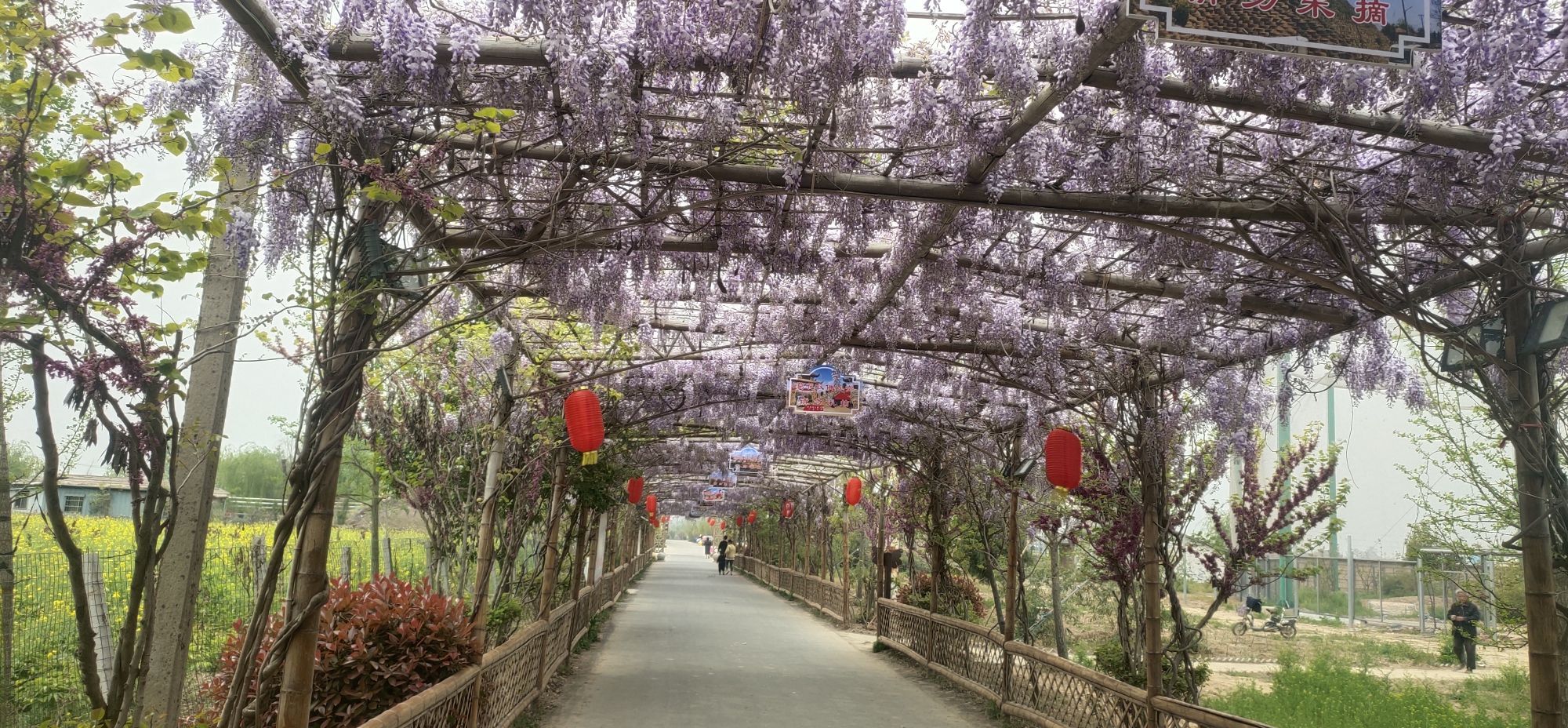 豫东大竹海文旅生态村