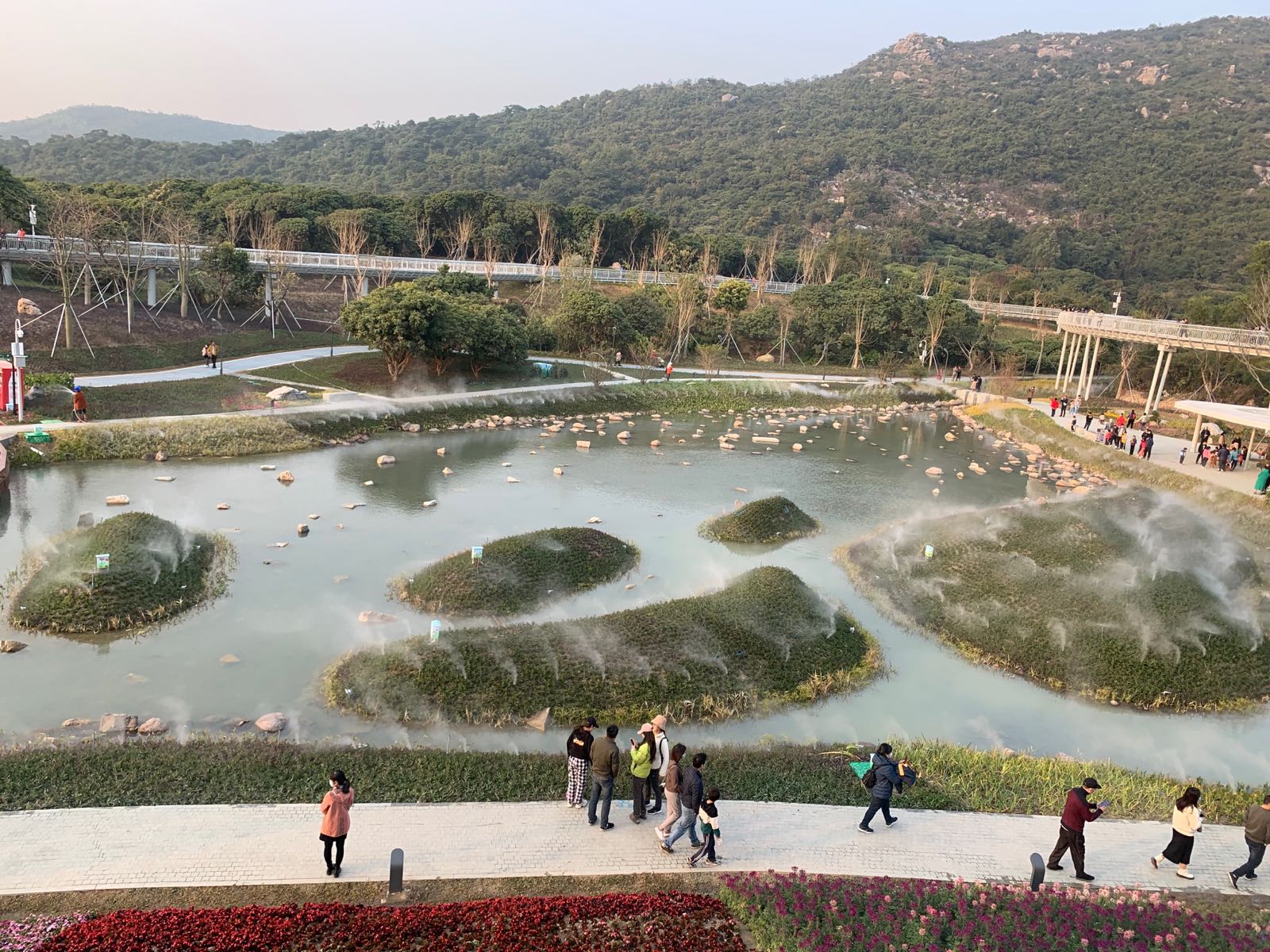 木头冲村鹤道花海