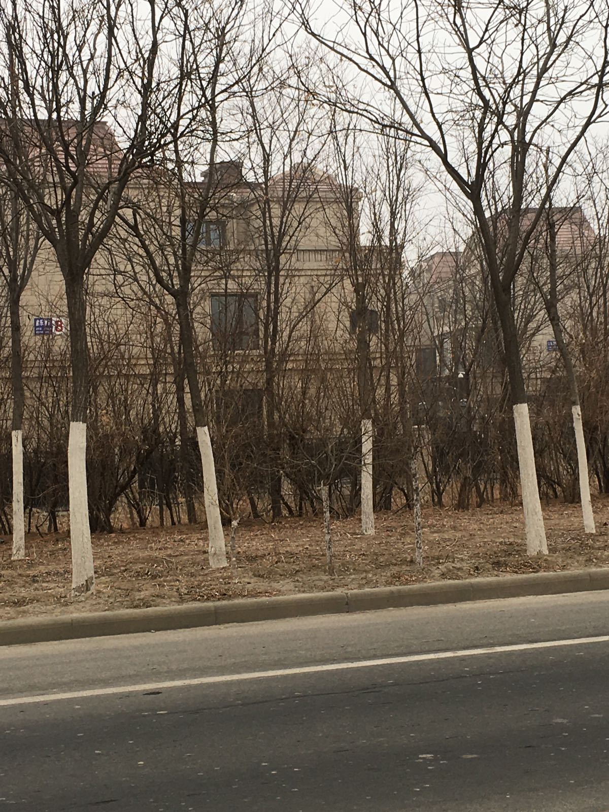 天津团泊湖风景区叠拼别墅
