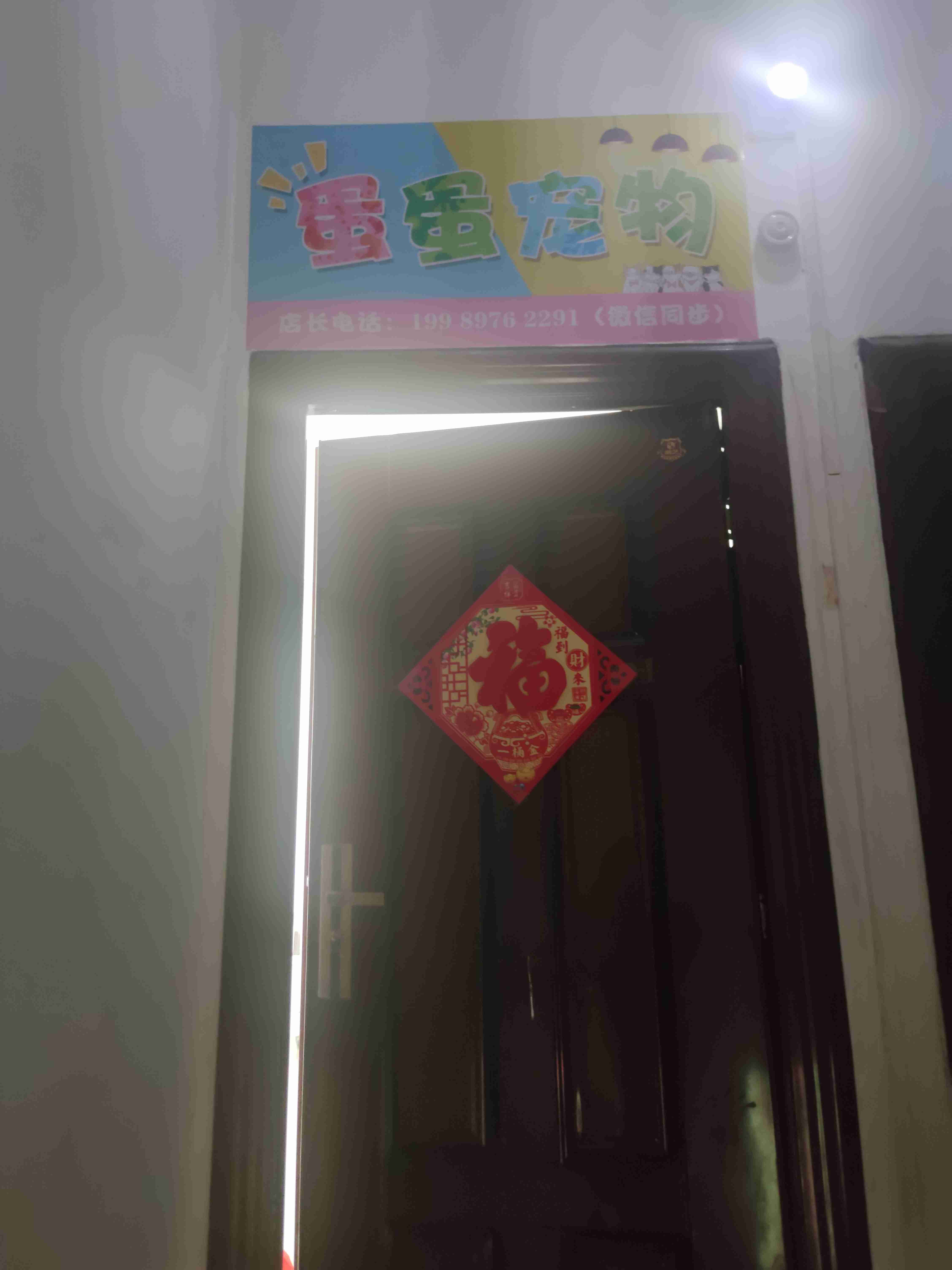 蛋蛋宠物(三亚店)