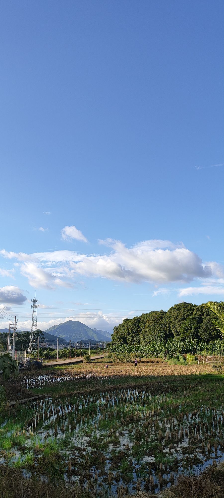 夏姑山