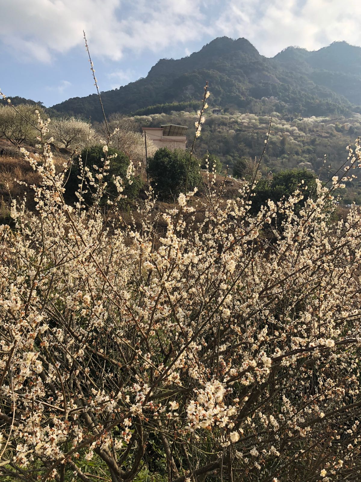 福建省福州市永泰县天门山风景区