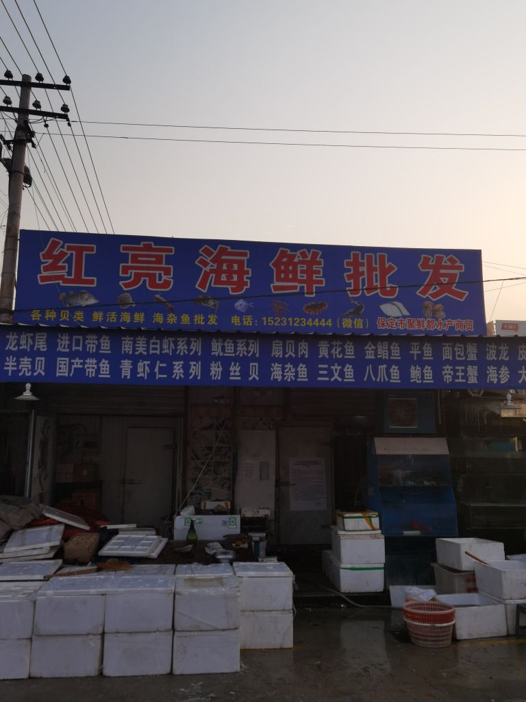 红亮海鲜批发