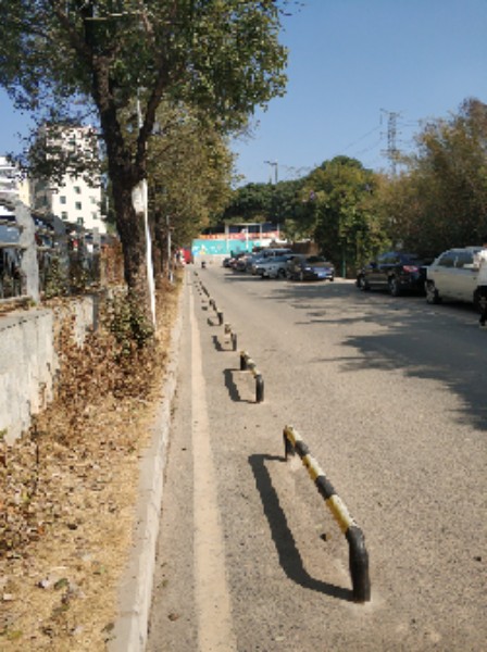 西丽水库桃花林