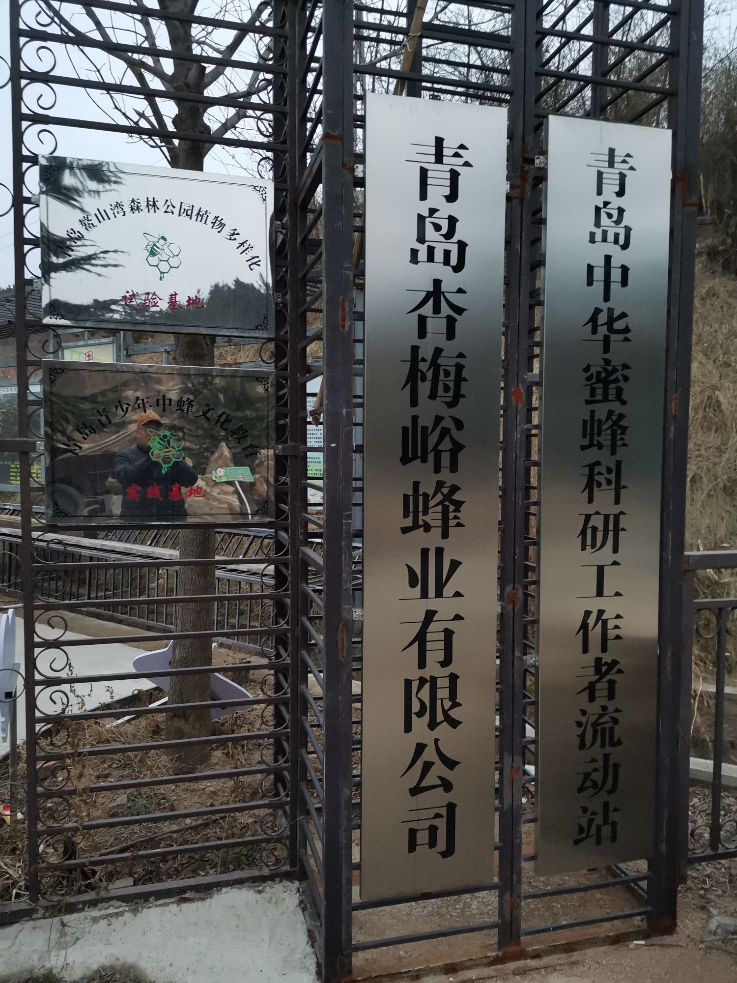 青岛杏梅峪蜂业有限公司