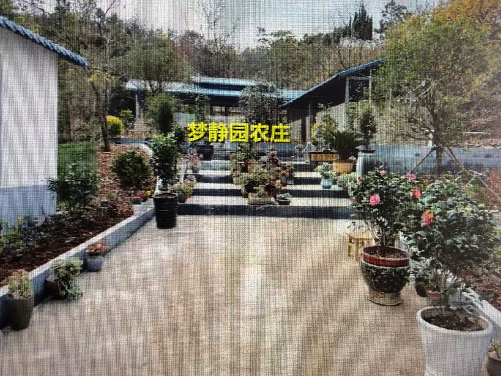 梦静园农庄