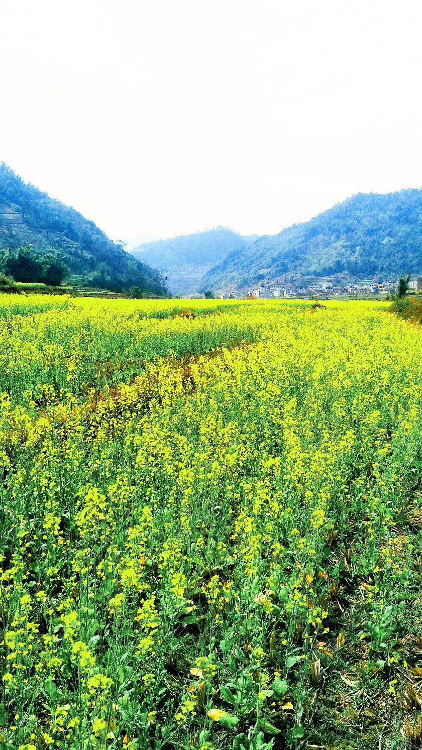 文山壮族苗族自治州砚山县蚌马段