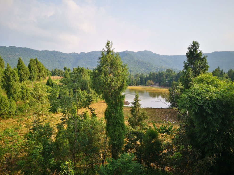 南充市营山县