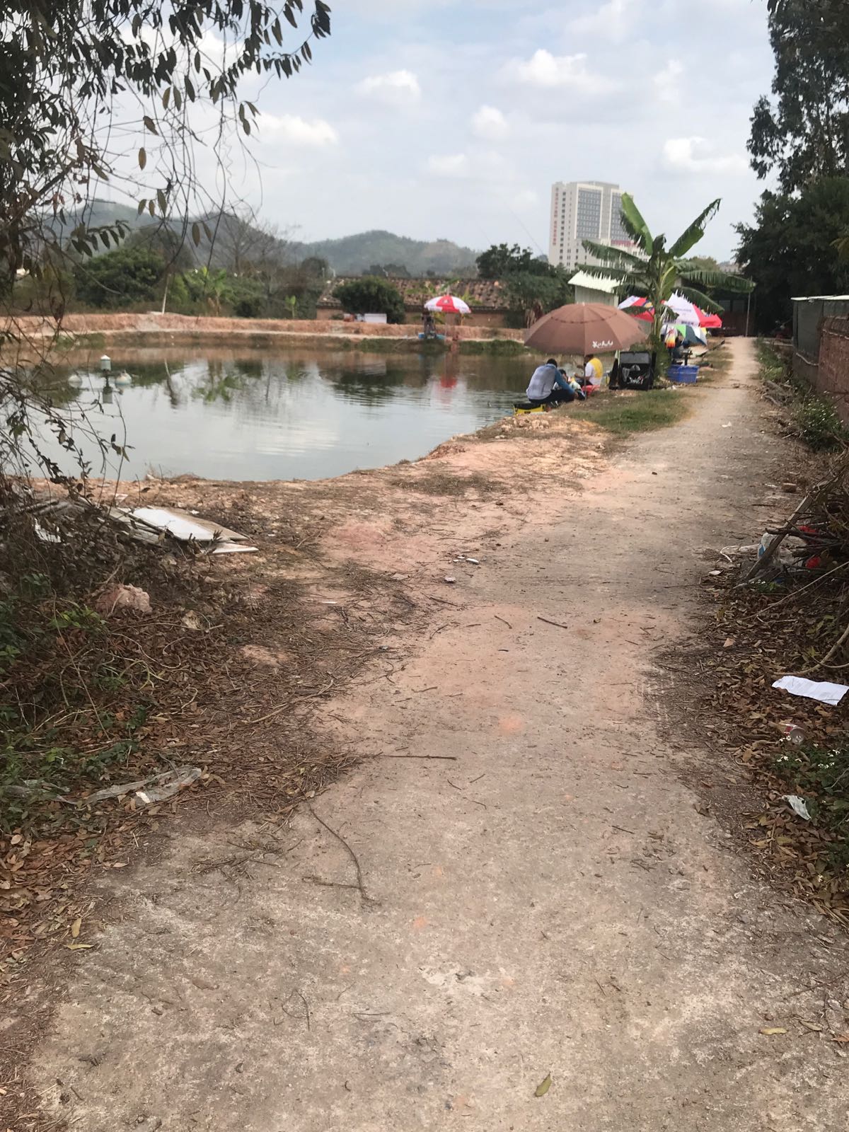 琼姨钓鱼场