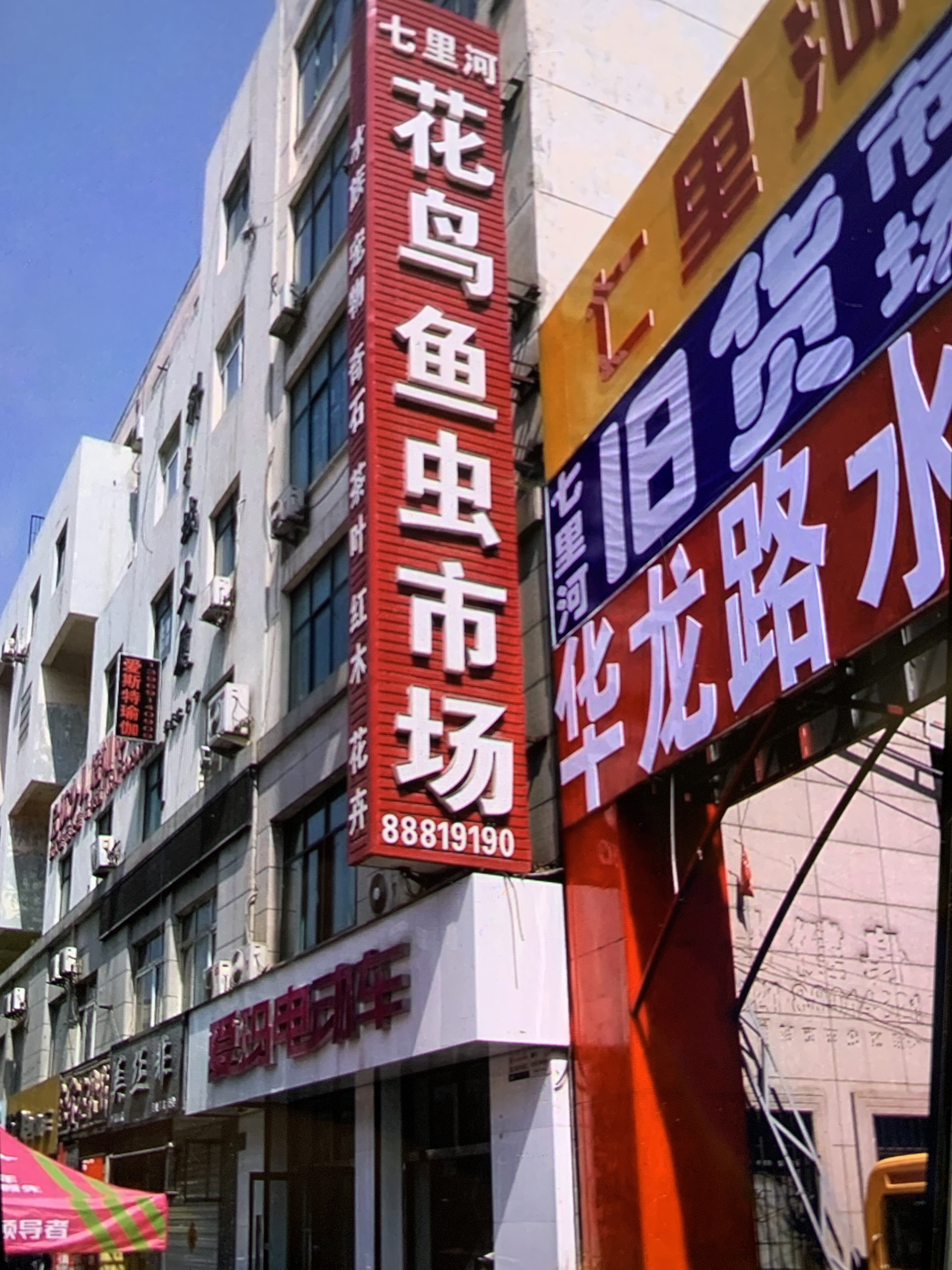 131宠物店
