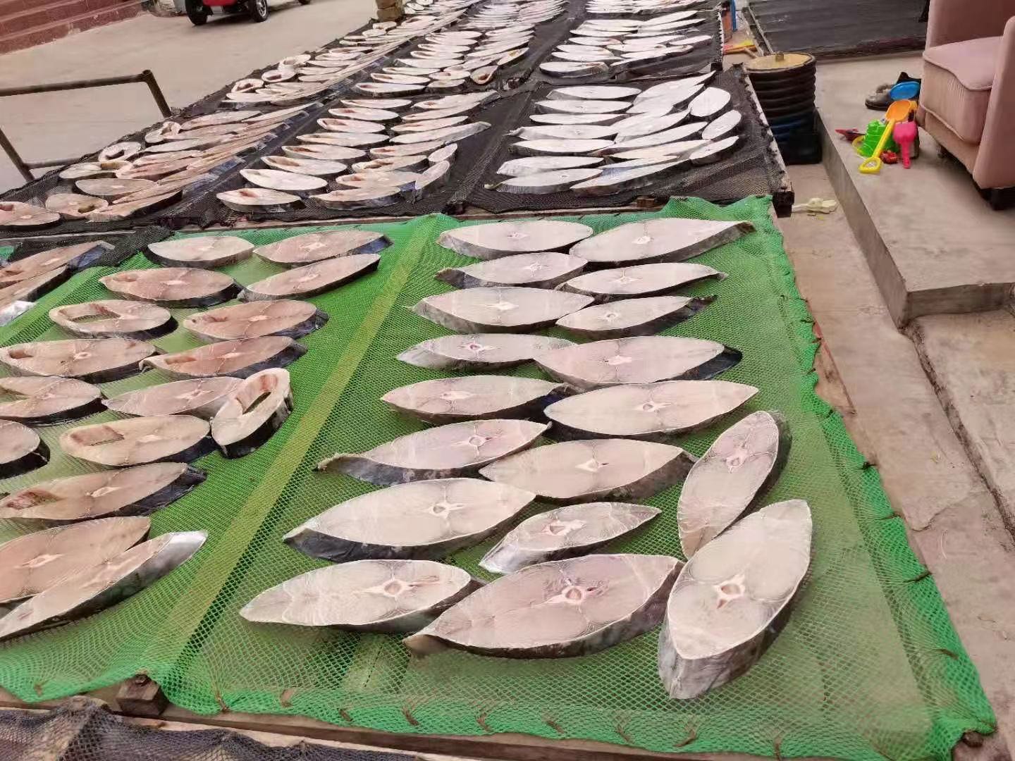 蔡记马鲛鱼批发