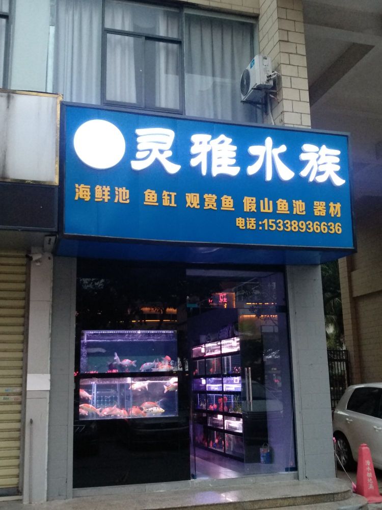 海南海鲜池灵雅水族(美丽沙花园店)
