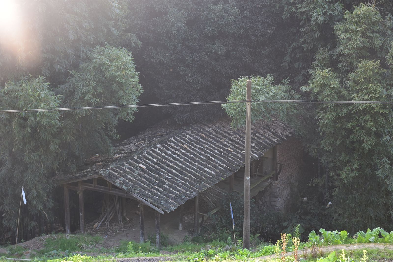 南平市延平区