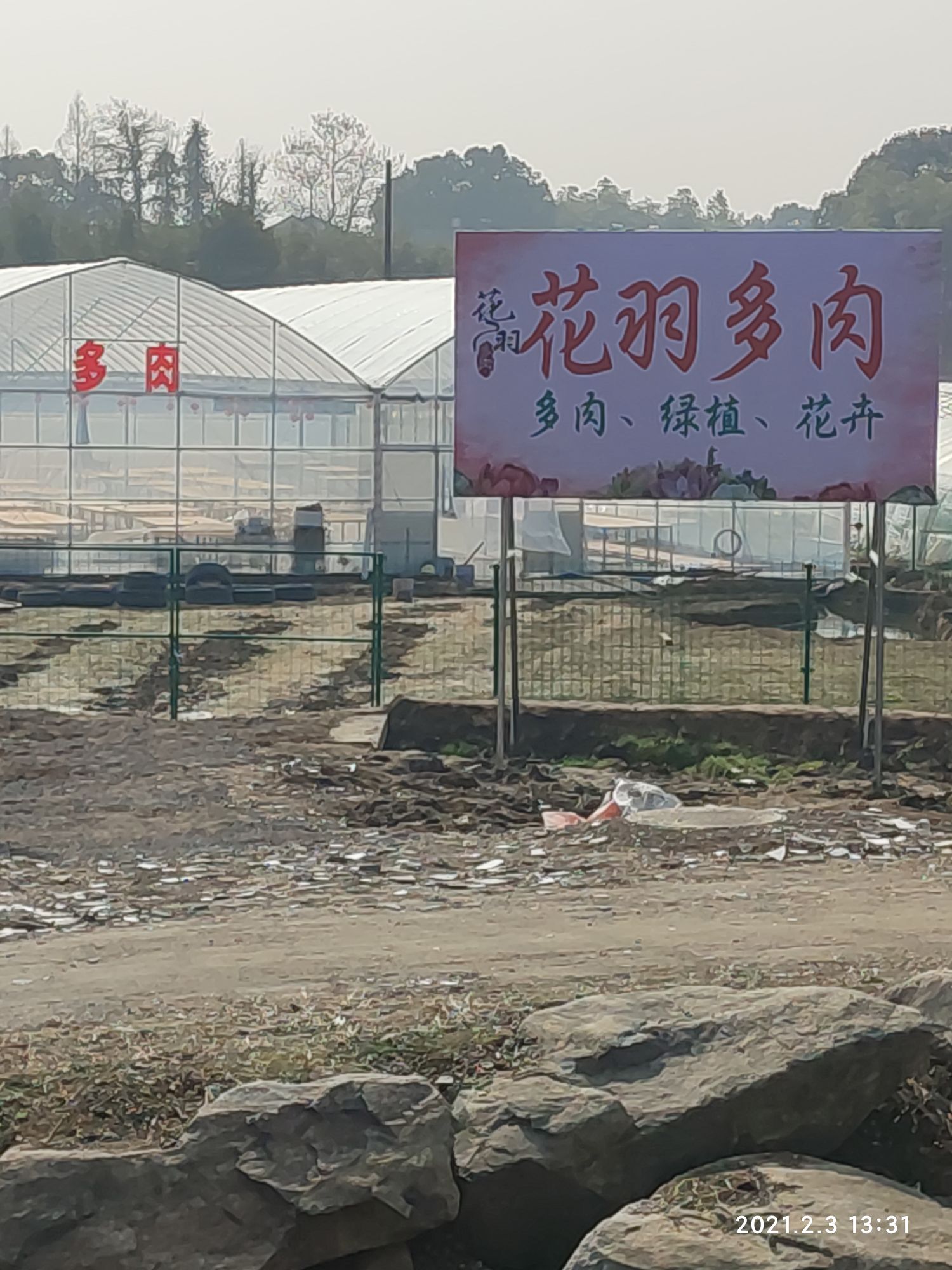 花羽多肉