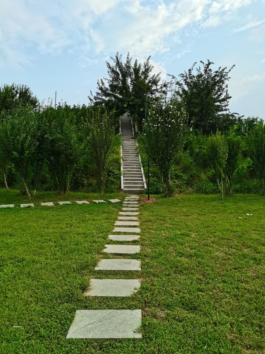 文体公园