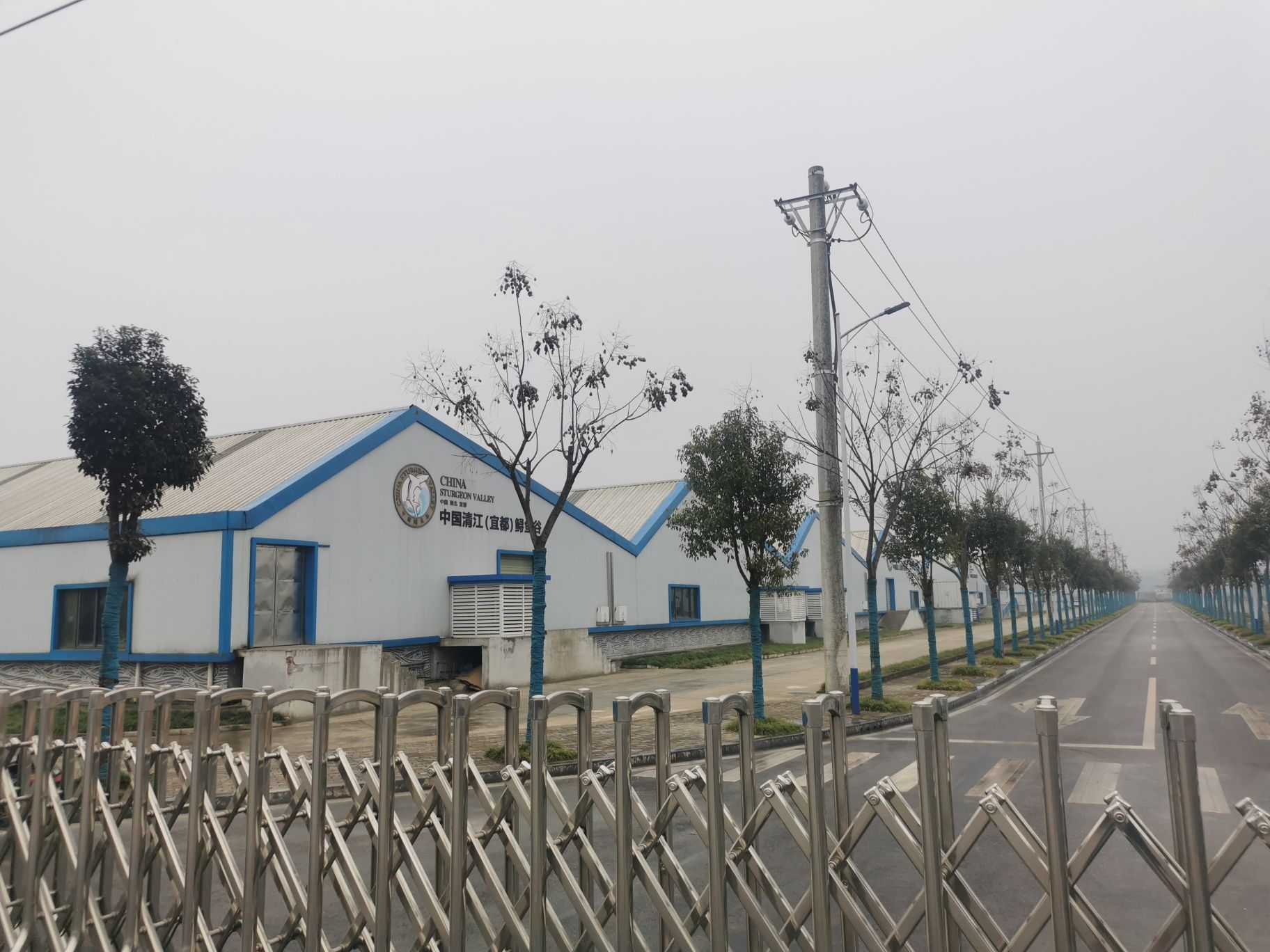 湖北清江鲟鱼谷