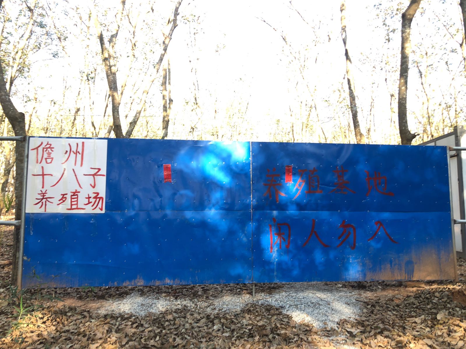 西庆农场十六队