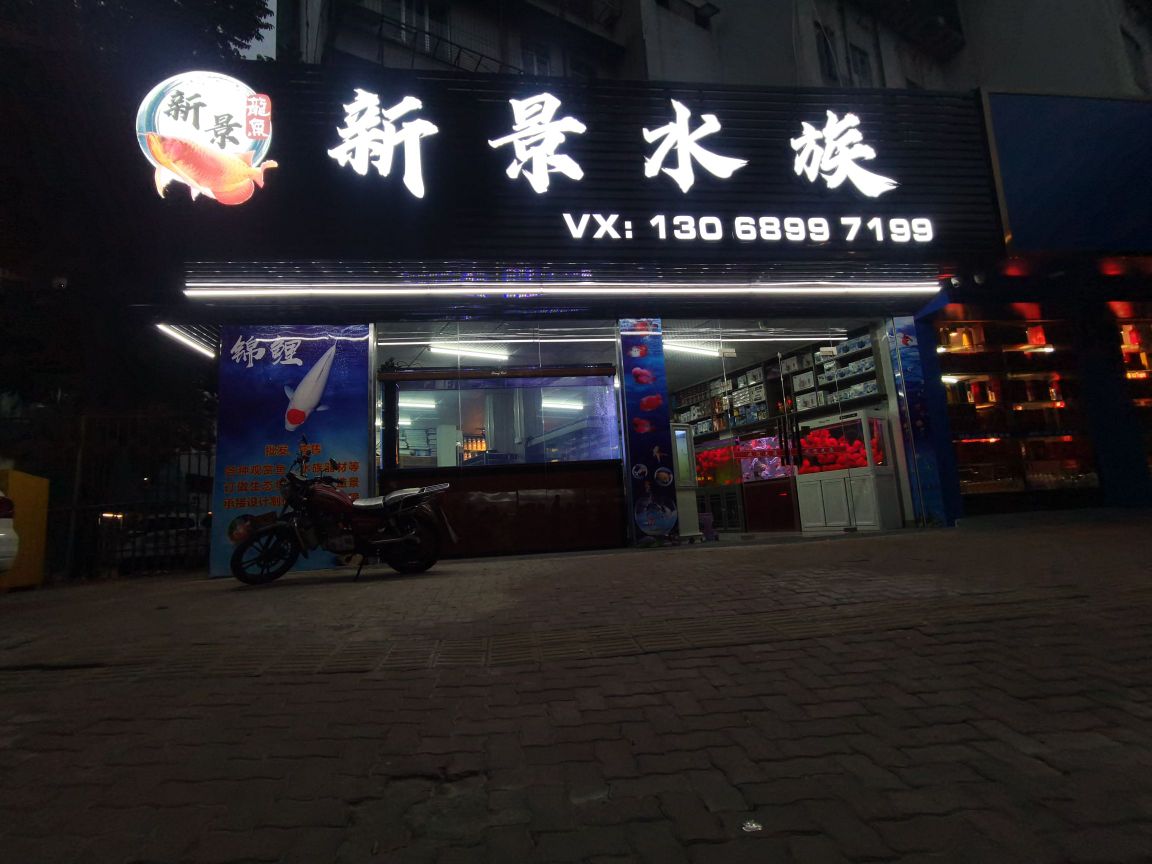 新景水族