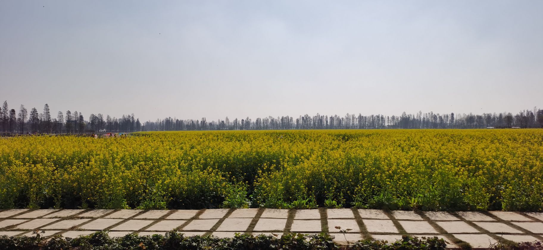 江海都市农业生态公园