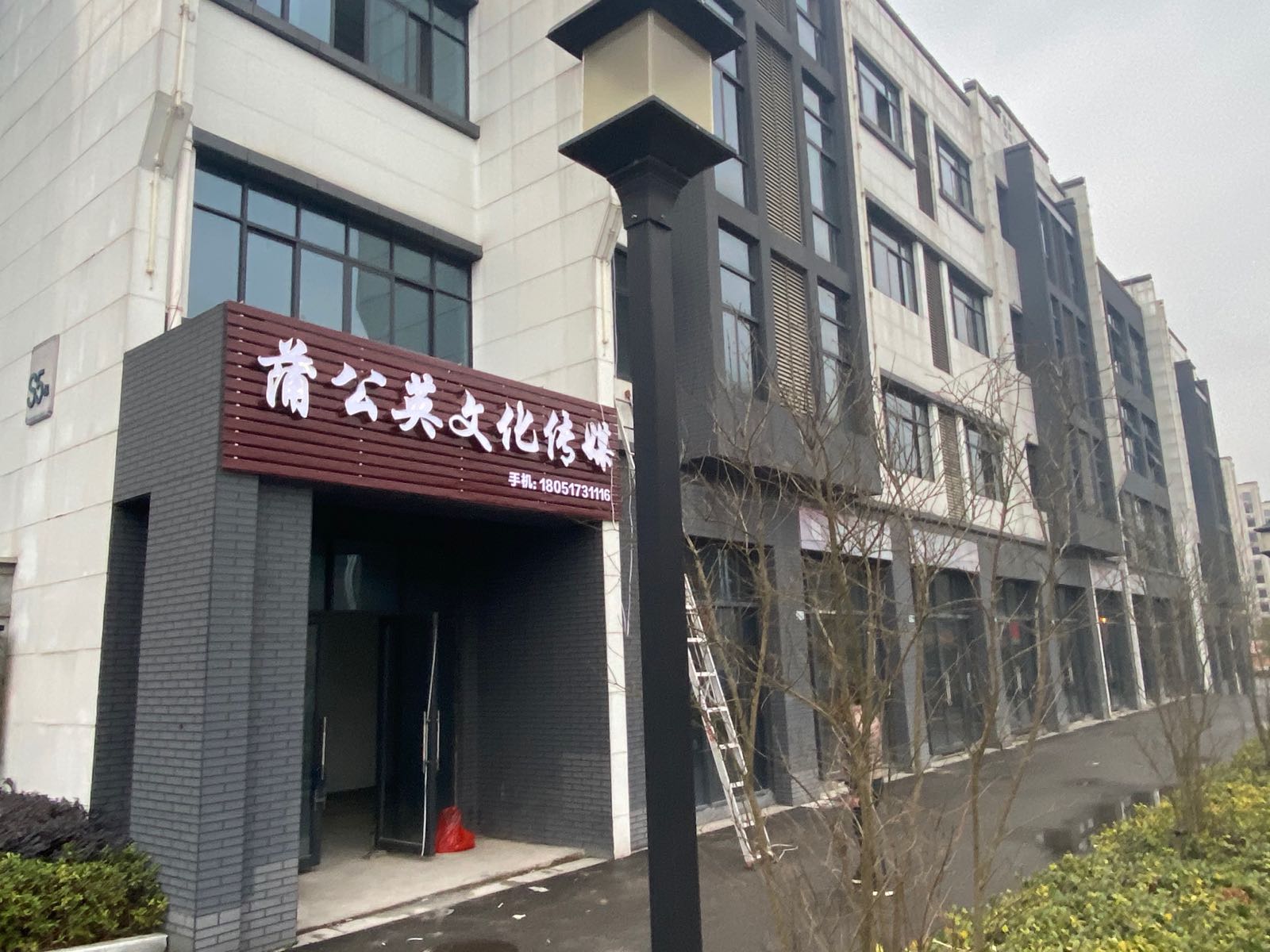 蒲公英文化传播