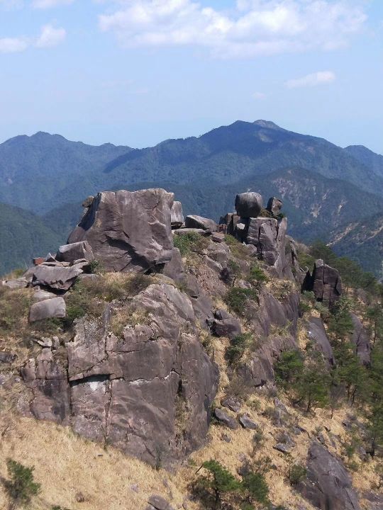 浙江省丽水市龙泉市高山村青井自然村(披云山景区内)