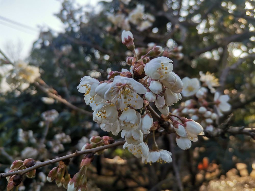 花房子老农夫果园休闲度假基地