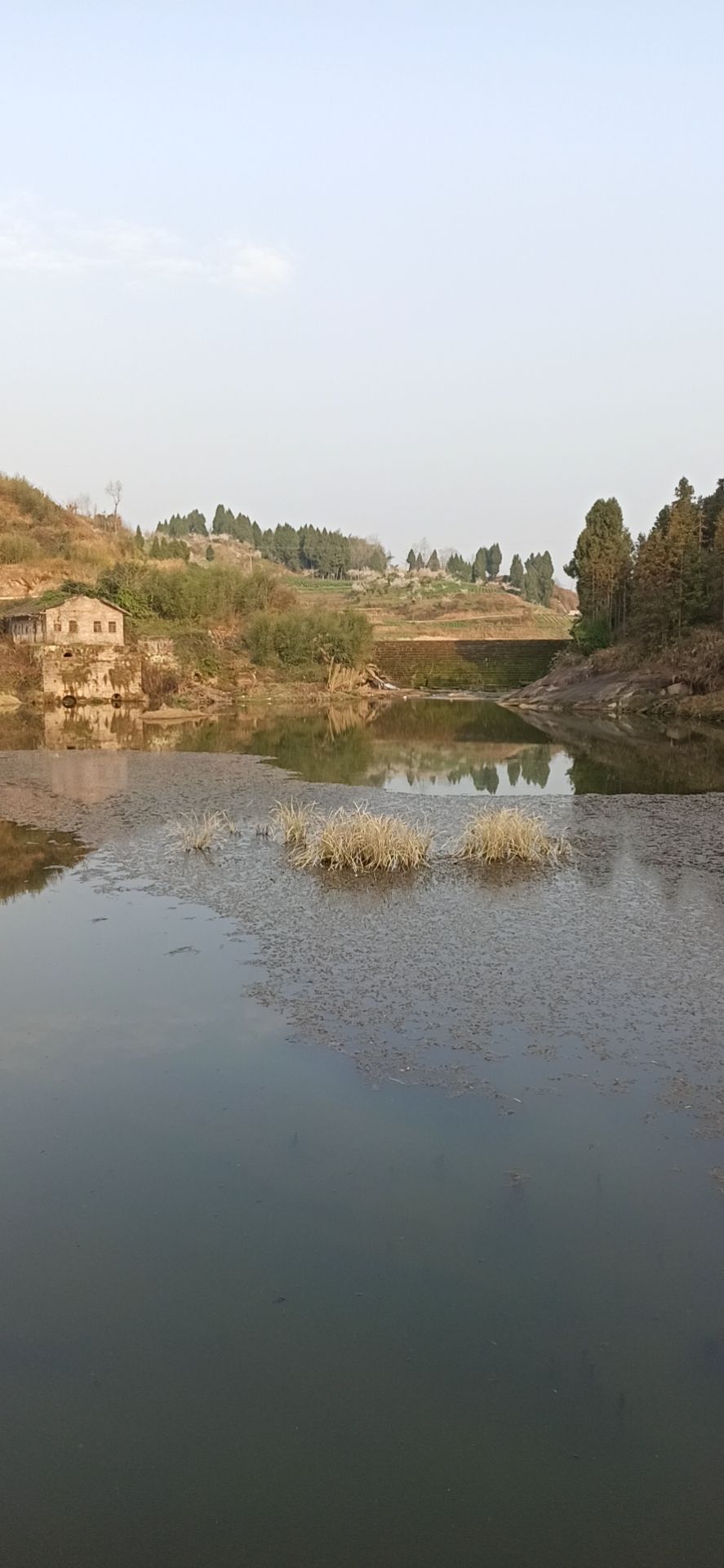 达州市达川区