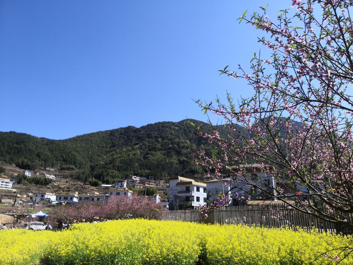 龙岩市武平县