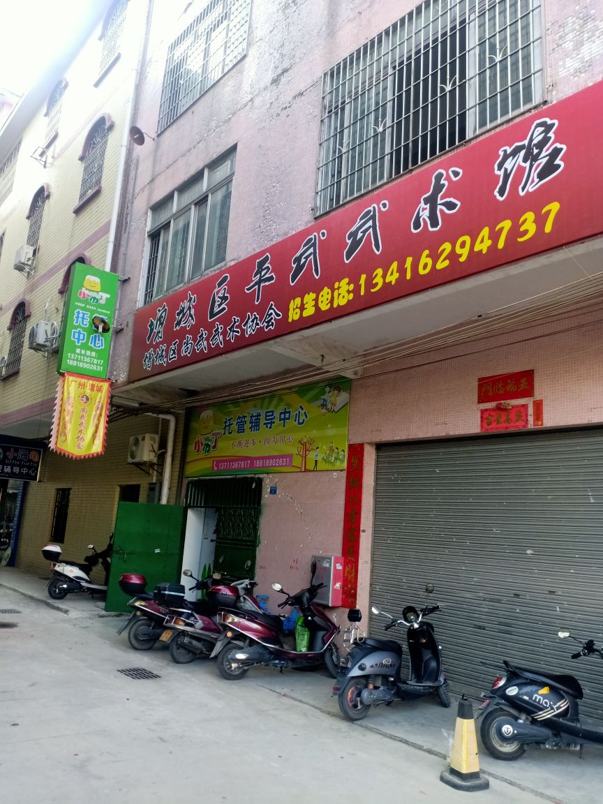 广州市增城平武武术馆