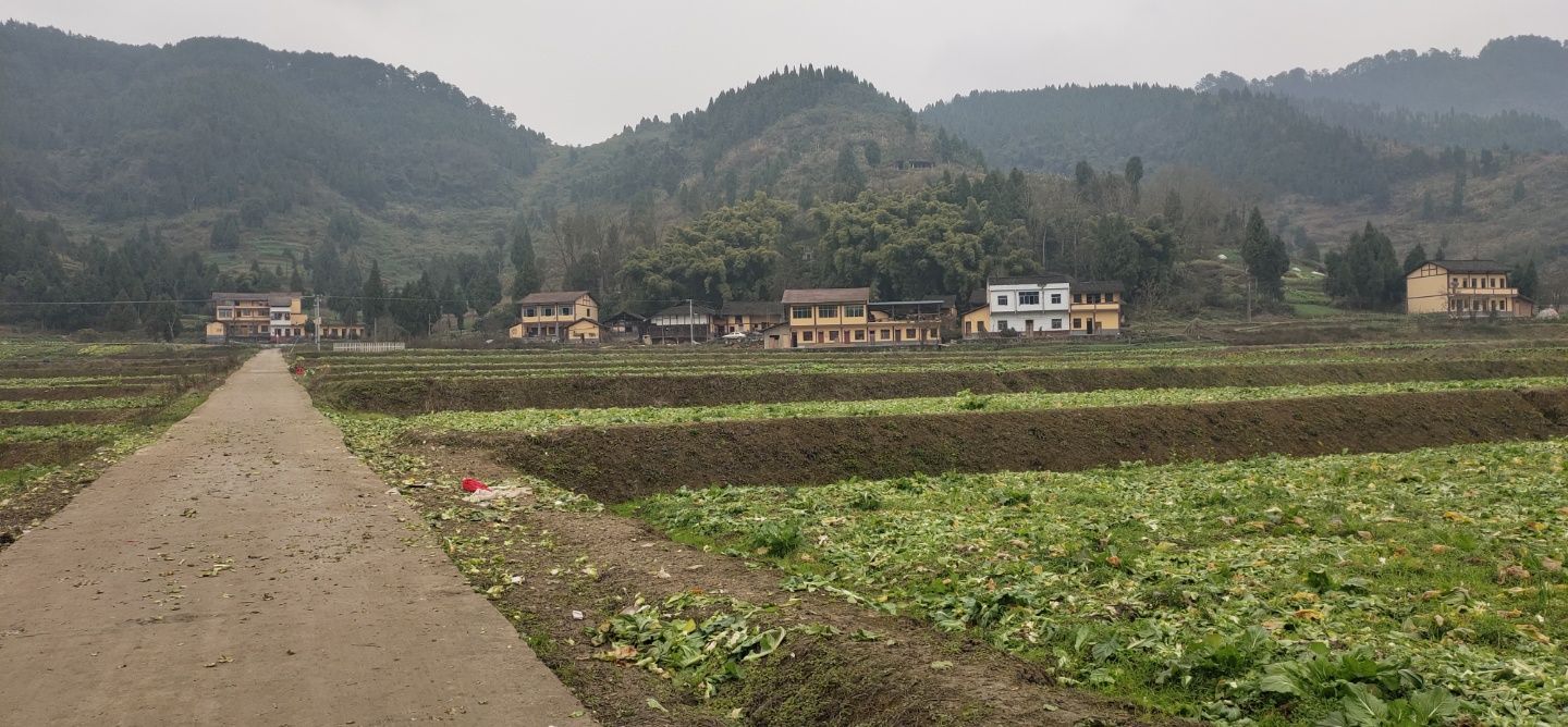 广安市邻水县梁板--柳塘