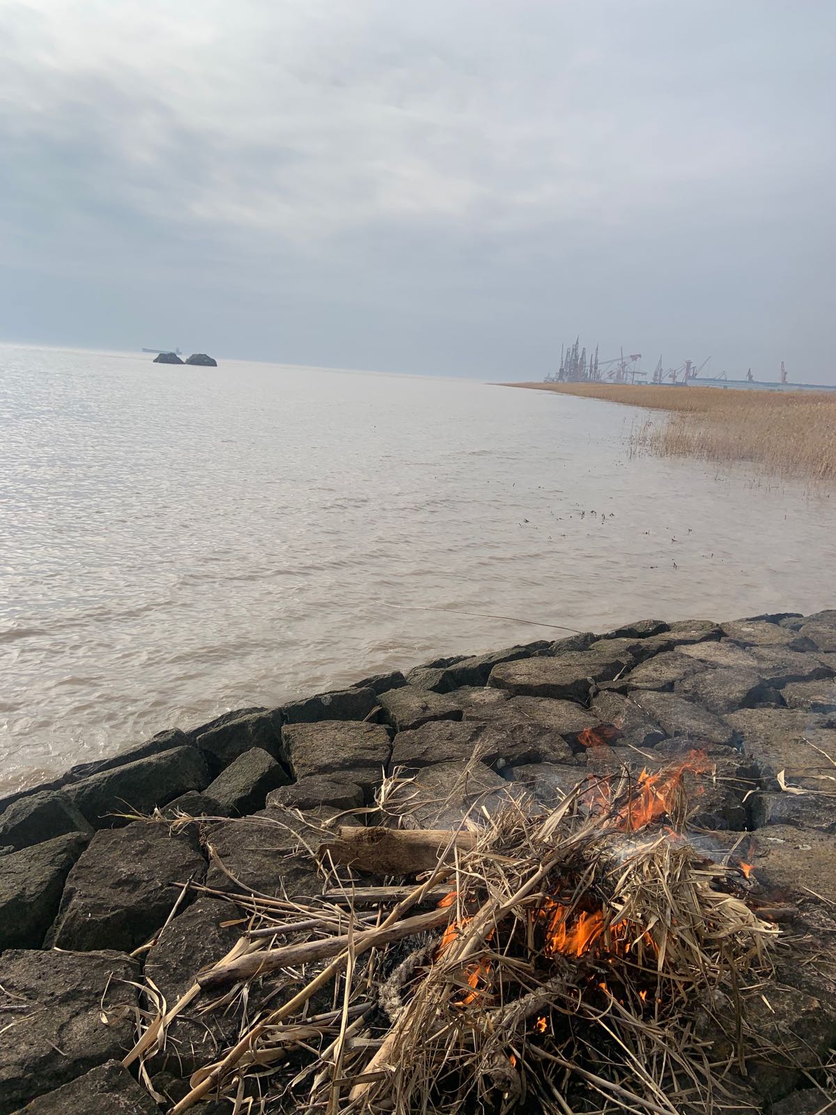 上海市崇明区