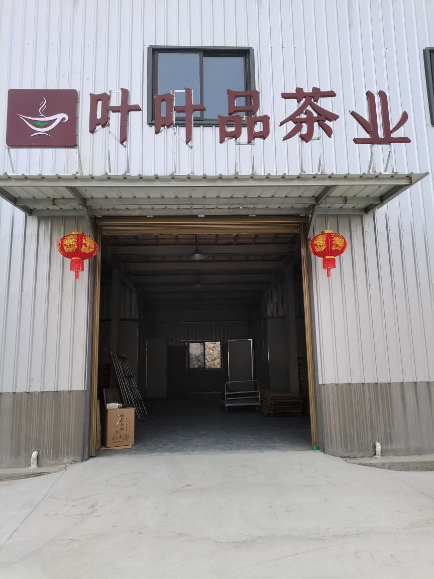叶叶品茶叶
