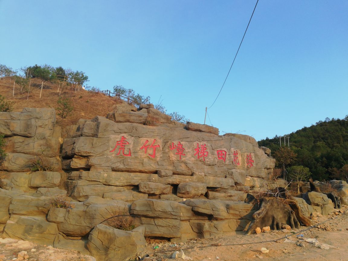 虎竹嶂花田梯海