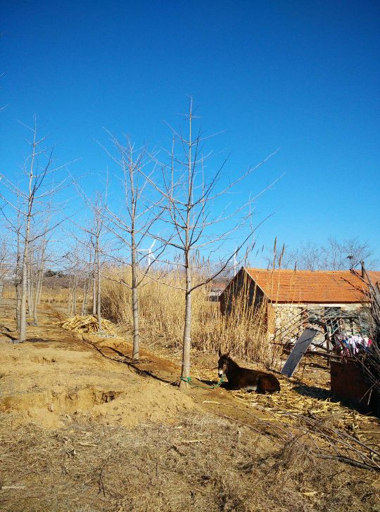 山东省威海市环翠区