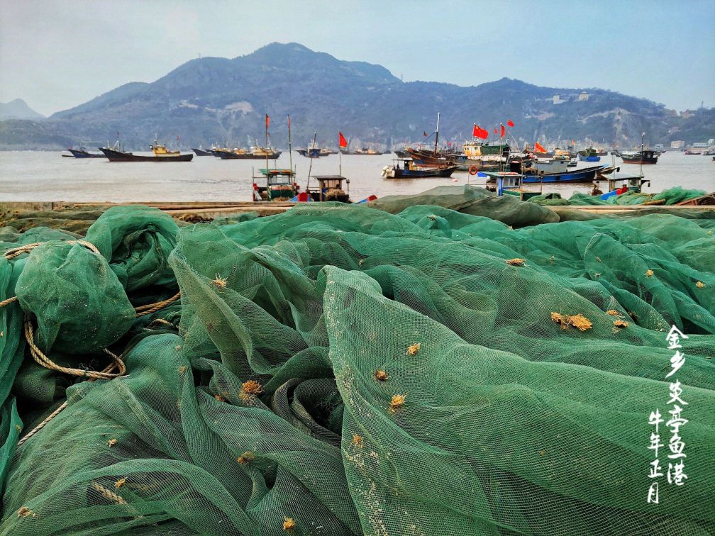 温州市苍南县金沙滩路