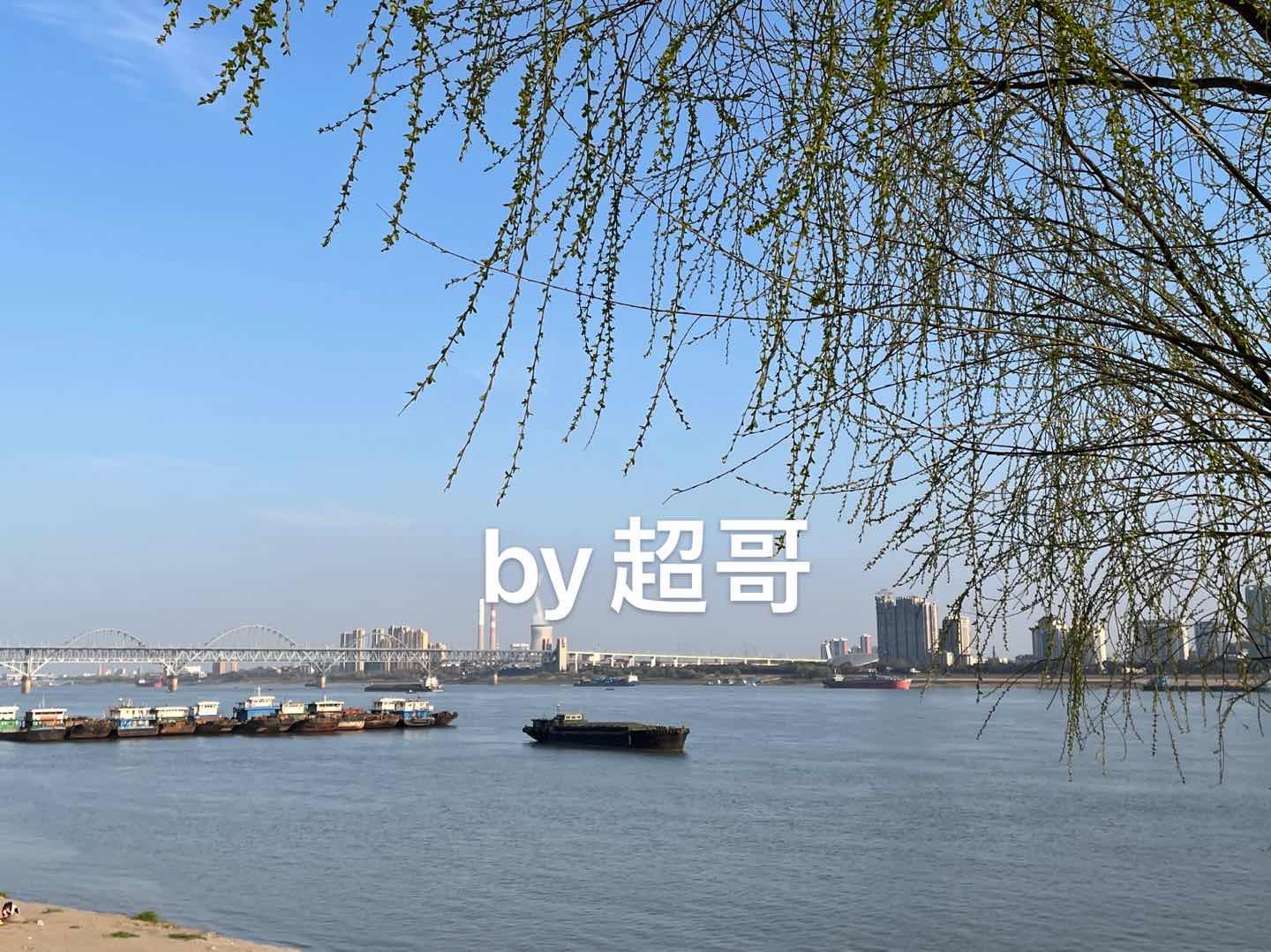 滨江公园