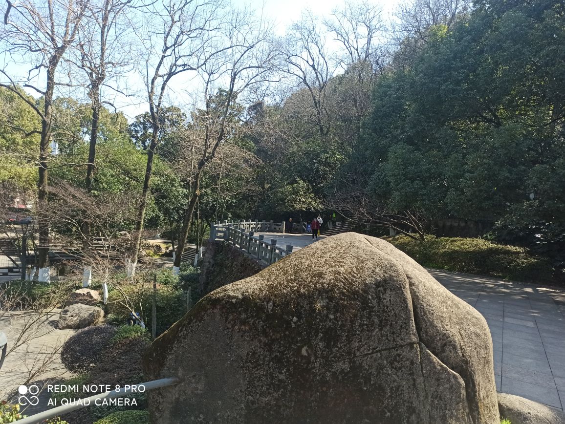 阳明公园