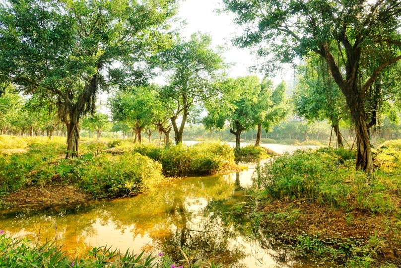 三亚东岸湿地公园